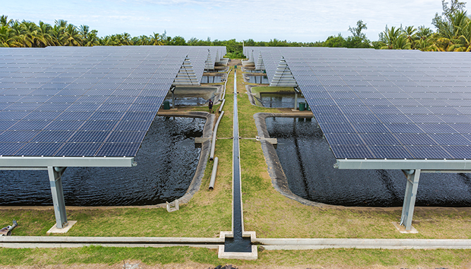 Les Cèdres - Centrale solaire